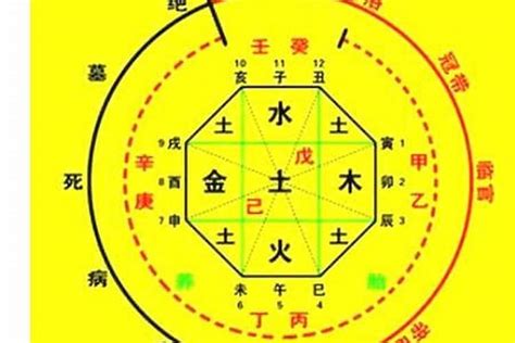 金克木為財|八字命理中金克木为什么能生财？